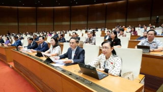 Quốc hội biểu quyết thông qua Luật Chuyển giao người đang chấp hành án phạt tù