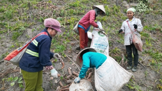Nỗ lực giảm nghèo bền vững của các xã vùng biên Thanh Hoá