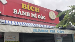 Vụ ngộ độc do ăn bánh mì cóc Cô Bích: Do bánh nhiễm vi khuẩn Salmonella
