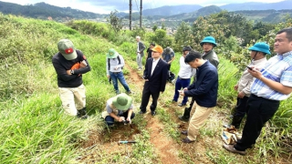 Viện Hàn lâm Khoa học và Công nghệ Việt Nam kiểm tra sạt trượt ở Lâm Đồng