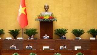 Đại biểu Quốc hội nhất trí cấm thuốc lá điện tử, thuốc lá nung nóng, bóng cười