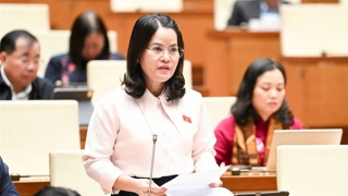 An ninh dữ liệu phải trở thành một trụ cột trong bảo vệ an ninh mạng