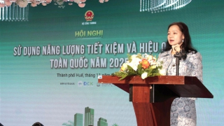 Thúc đẩy nỗ lực chung của Việt Nam trong đảm bảo an ninh năng lượng, chuyển đổi xanh