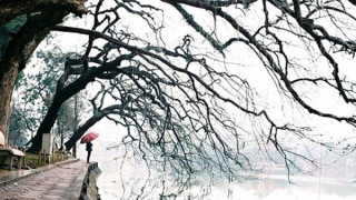 Những ngày rét ngọt đầu đông