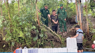 Tăng cường phòng ngừa, đấu tranh với tội phạm buôn lậu thuốc lá