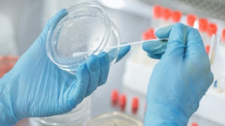 Cuộc truy lùng “bóng ma Heilbronn”