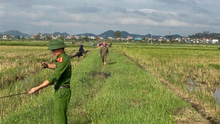 Tăng cường tuyên truyền, kiểm tra, xử lý hành vi đánh bắt chim di cư