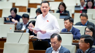 Đất hiếm sẽ trở thành tài nguyên quan trọng để khai thác, phát triển đất nước