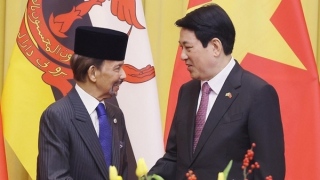 Tăng cường hiệu quả quan hệ Đối tác toàn diện Việt Nam-Brunei
