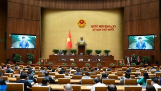 Thách thức "già trước khi giàu" tại Việt Nam là rất thực tế