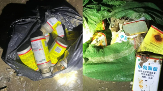 Quảng Ninh: Truy tìm nguồn gốc hóa chất lạ hủy hoại môi trường biển