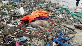 Truy tìm tung tích người phụ nữ trôi dạt vào bãi biển phía Đông Bắc tỉnh Đắk Lắk