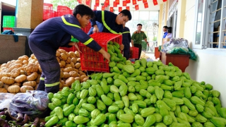 Công an Lâm Đồng hỗ trợ hàng chục tấn nông sản giúp bà con vùng lũ Khánh Hòa