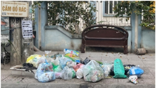 Phát động chiến dịch “Ngày không sử dụng túi nilon tại Việt Nam năm 2025”