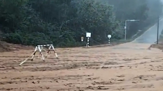 Lại xảy ra sạt lở núi ở khu kinh tế Chân Mây - Lăng Cô