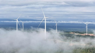 Khát vọng tạo giá trị bền vững từ năng lượng tái tạo của Bầu Hiển