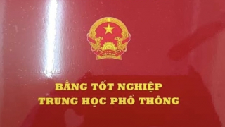 Hà Nội thu hồi bằng tốt nghiệp THPT của 1 thí sinh gian lận thi cử