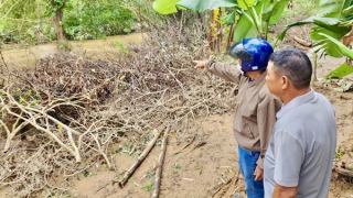 Người dân Đông Hà sống giữa hai nỗi lo