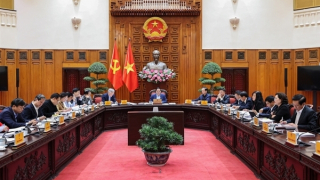 Xây dựng chính sách vượt trội, cạnh tranh để thí điểm một số khu thương mại tự do