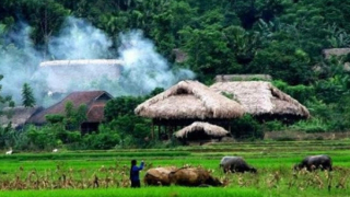 Thèm mùi khói ấm trên mái quê thân thuộc