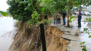 Sau lũ, sạt lở đất càng thêm trầm trọng dọc sông Đồng Nai