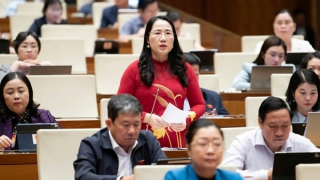 Đại biểu đánh giá cao Bộ Công an đấu tranh trấn áp tội phạm, bóc gỡ nhiều vụ hàng giả