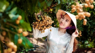 Người dân nông thôn Hưng Yên bắt nhịp chuyển đổi số