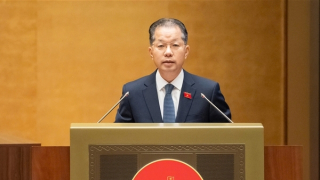 Đảm bảo công tác thi hành pháp luật kịp thời, nghiêm minh, đúng người, đúng tội