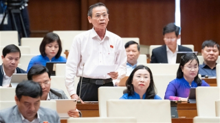 Luật sửa đổi, bổ sung một số điều của Luật Thuế giá trị gia tăng tạo thuận lợi cho nông sản Việt Nam