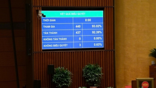 Cơ quan báo chí chủ lực đa phương tiện gồm nhiều loại hình báo chí, có cơ chế đặc thù về tài chính