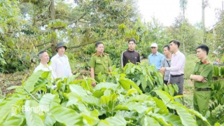 Đồng Nai: Bền niềm tin, vững sinh kế từ Chỉ thị số 39-CT/TW