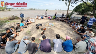 Triệt phá trường gà, tạm giữ 23 đối tượng