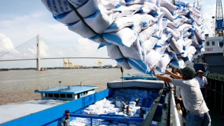 Giá gạo xuất khẩu giảm mạnh, thị trường tiêu thụ có sự đảo chiều