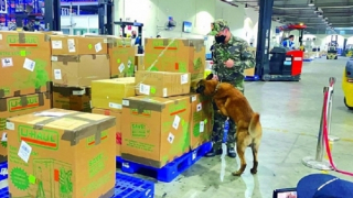 Hải quan khu vực I tăng cường kiểm soát, siết chặt đấu tranh chống buôn lậu