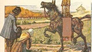 Con lừa bước vào ngụ ngôn!