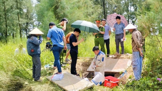 Loạt doanh nghiệp phớt lờ công tác bảo vệ môi trường