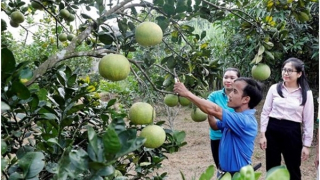 Vốn tín dụng chính sách xã hội góp phần giảm nghèo, thoát bẫy “tín dụng đen”