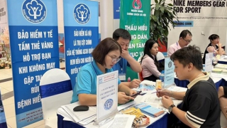 Kiến nghị khởi tố doanh nghiệp trốn đóng bảo hiểm xã hội