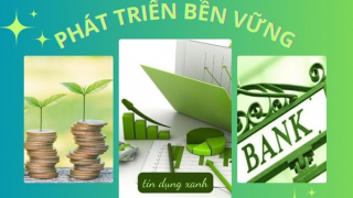 Đa dạng vốn cho tăng trưởng xanh, phát triển bền vững