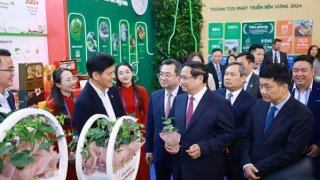 Xanh hóa và số hóa là yêu cầu khách quan, lựa chọn chiến lược, ưu tiên hàng đầu