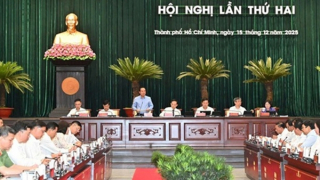 Thực hiện các nhiệm vụ trọng tâm để đưa Thành phố phát triển nhanh, bền vững