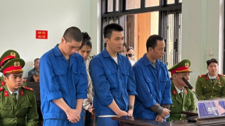 Giấu ma túy trong khối bê tông rồi vận chuyển bằng xe khách, 5 bị cáo lãnh án