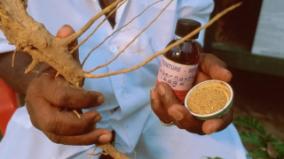 Ibogaine và câu chuyện pháp lý