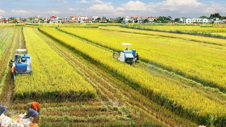 Việt Nam được đánh giá là điểm sáng giảm nghèo đa chiều