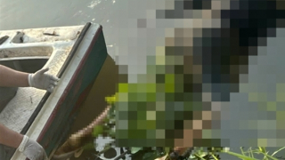 Truy tìm tung tích thi thể không nguyên vẹn trôi trên sông Sài Gòn