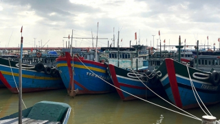 Nhiều tàu cá của ngư dân ở Huế nằm bờ do chưa nhận được kinh phí hỗ trợ nhiên liệu