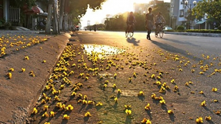 Bắc Bộ sáng sương mù, vài nơi lác đác mưa sau hửng nắng ấm