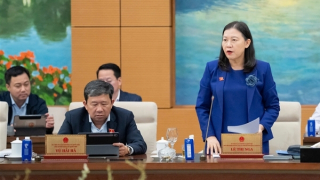 Thông qua nguyên tắc các Nghị quyết về giám sát, khiếu nại tố cáo