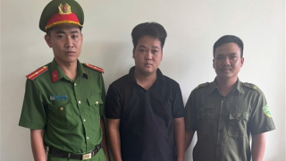 Khởi tố 7 đối tượng mổ thịt hàng trăm con lợn đã tiêu hủy do dịch bệnh để… bán