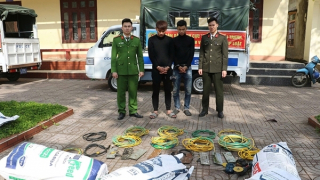 Hai đối tượng gây ra hơn 150 vụ trộm dây cáp trong vòng 20 ngày